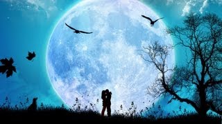 STING - THE SECRET MARRIAGE (Videoclip - Enric Berneda)