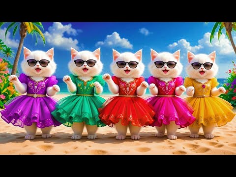 Dudi Dudi Dam Dam 💃💃💃 Cutest Cat Dancing On Dudi Dudi Dam Dam😺 #dudidudi #dumdum #catdancing