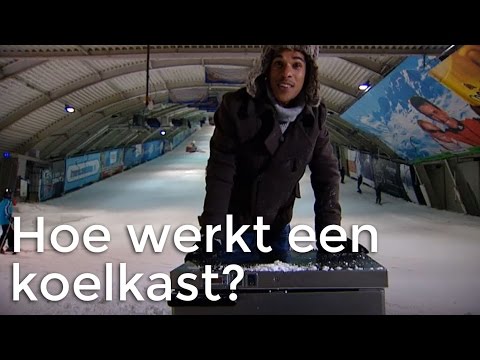 Hoe werkt een koelkast? | Vragen van Kinderen