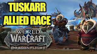 Tuskarr Allied Race - Could It Happen In Dragonflight