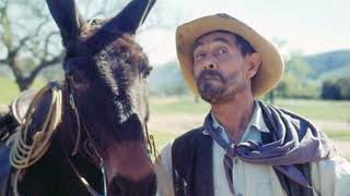 Ever Wonder Why 'Gunsmokes' Festus Named His Mule Old Ruth