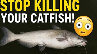Why Your Catfish Die After Water Change