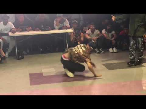 Wingzero Freestyle Session 2017