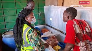 Ouagadougou : La DGSV traque les poulets illégaux