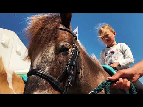 BEA 2018: Wunschbox von TeleBärn – Ponyreiten