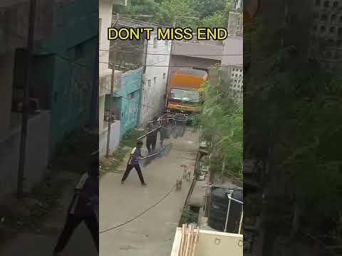 Catching street dogs#dog #viral #shorts #shortsvideo