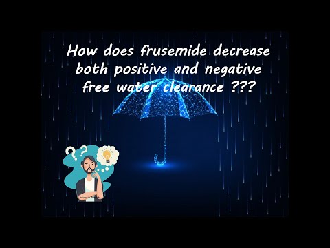 Renal Physiology/ free water clearance/ diuretics and free water clearance