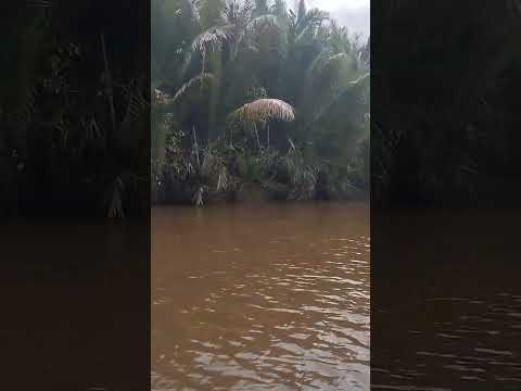 Why Purari delta in Papua New Guinea is the most incredible place on Earth