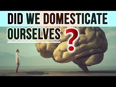 , title : 'Did We Domesticate Ourselves? Questions on Human Self Domestication & Declining Brain Size'
