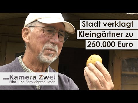 Potato dispute: City sues allotment gardeners for 250,000 euros