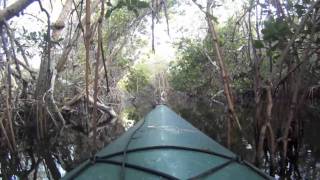 preview picture of video 'Bokeelia by Kayak, Pine Island, Florida'