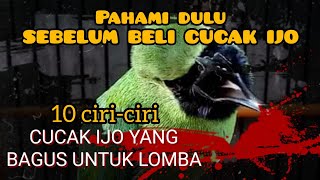 Download lagu MAU BELI CUCAK IJO ??? PERHATIKAN 10 TIPS INI AGAR DAPAT CUCAK IJO YANG BAGUS DAN BERKUALITAS LOMBA mp3
