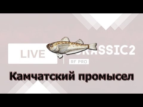 Русская Рыбалка 3.99 Камчатский промысел. Волосозуб. Дневной стрим