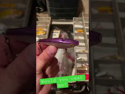 Catch Anything Rattle Crank Bait Lure