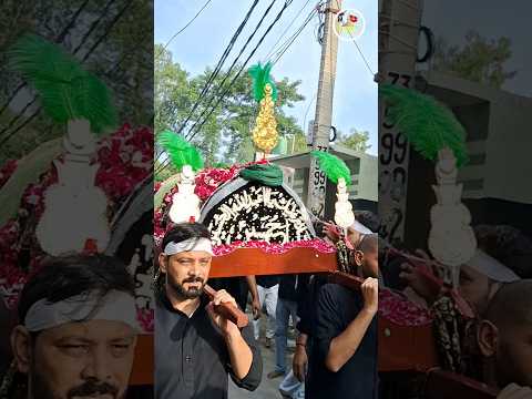 20 Safer Arbaeen Nowgawan Sadat 2025_1447 hijri #Shorts #Traning @NS SHIA TV