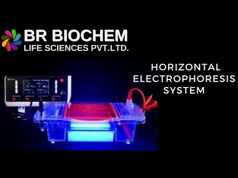 Integrated Horizontal Electrophoresis System