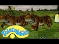 Teletubbies Svenska Säsong 3 Episod 53 Visar För Barn