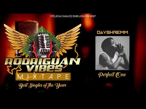 9. Davshremm - Perfect One