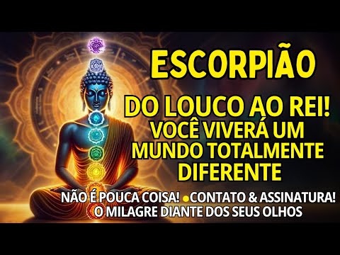 Vinnicius Castro Tarot and Vinnicius Castro