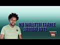Jambo Jote Nu Walittii Taanee New Oromo Music 2019