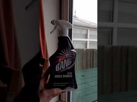 Cillit Bang Black Mould Remover Product Review