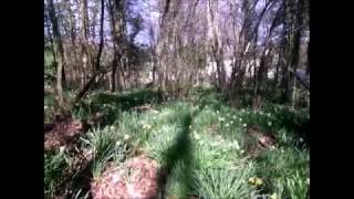 le printemps est arrivé