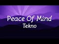 Peace Of Mind Tekno Lyric Video