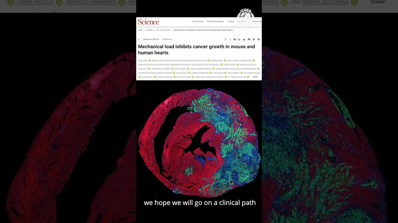 The Heartbeat’s Mechanical Force is Found to Suppress Tumour Growth