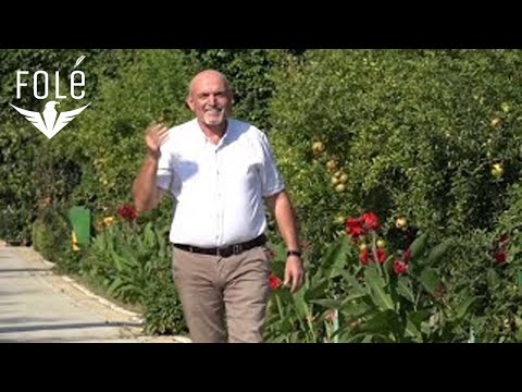 Stavri Spiros & Ana Shabani - Vajza Manushaqe , Djali Trendafil ( official video HD)