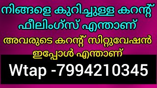 🙏❤️❤️നിങ്ങളെ കുറിച്ചുള്ള കറന്റ്‌ ഫീലിംഗ്സ് എന്താണ്. അവരുടെ ഇപ്പോഴത്തെ കറന്റ്‌ സിറ്റുവേഷൻ 🙏