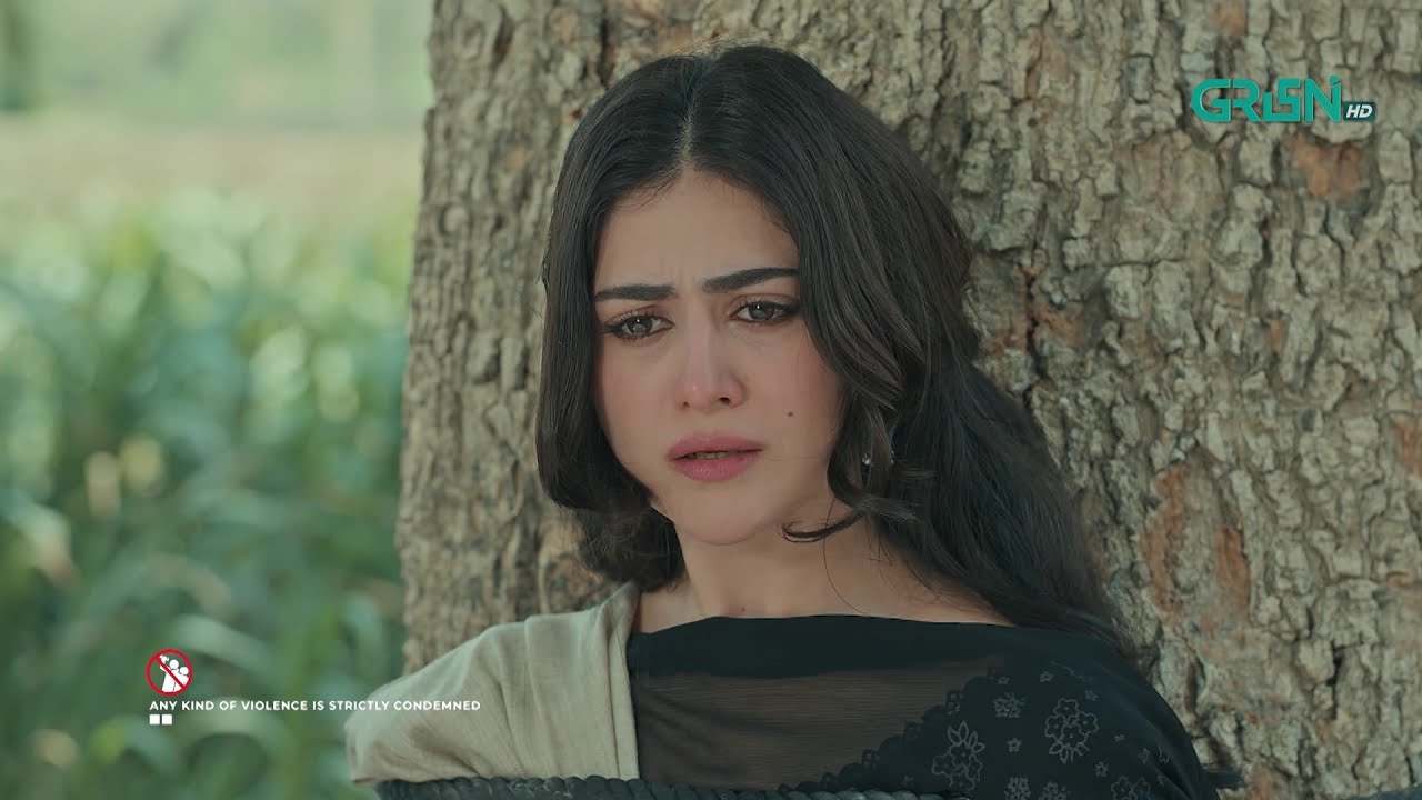 Nachne Wali Ko Apni Izzat Itni Pyari | Hina Afridi - Zaviyar Nauman - Imran Ashraf | Green TV