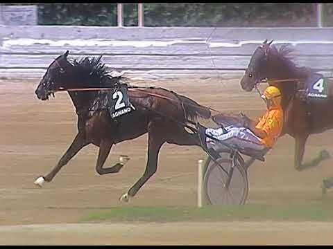 Trotto 11/06/2020 - 3ª corsa