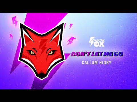 Callum Higby - Don't Let Me Go (Official Audio)