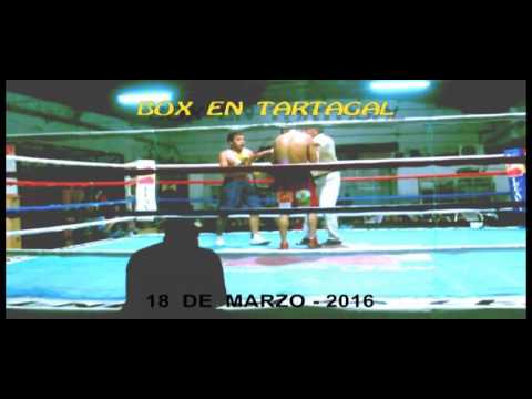 zorrito leiton en el gym municipal