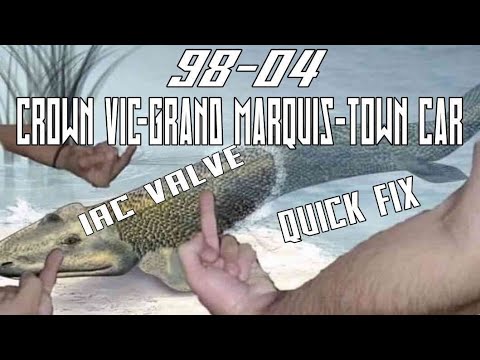 98-04 crown victoria IAC valve quick fix