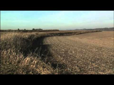 NRCS' CSP enrolls 50 million acres in 4 years