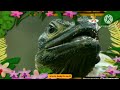 The Amazing World Babytv 2006 African Jungle