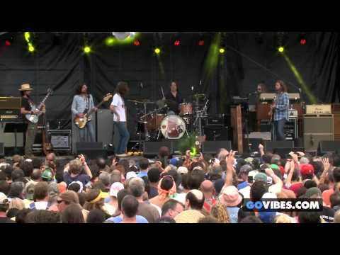 The Black Crowes performs 