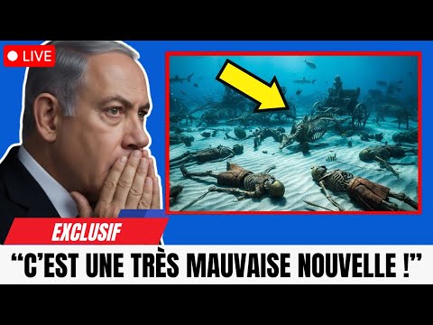 Israeli divers have just found Pharaoh's army in the Red Sea. Terrifying.