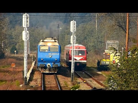 VT614 & GM922 (+ Mega-Hornz) meeting in Bratca Station, Bihor County (02 11 2014)