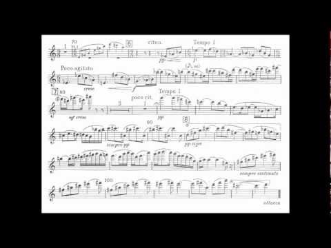 Bartok, B. mvt1 1st violin concerto