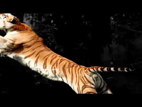 Margonem Przygody z Pandory #9 Luźne granie Podsumowanie eventu