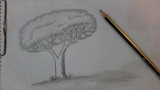 كيفية رسم شجرة للأطفال - مجاني mp3