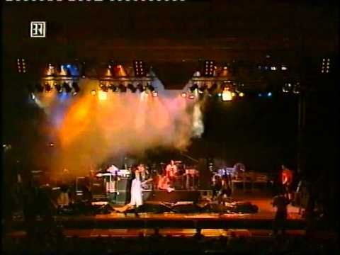 mr. ed jumps the gun live taubertal festival TNT