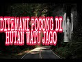 THE MYSTERY OF THE WATU JAGO FOREST Accompanied By POCONG THE MYSTERY OF THE GUWING WELL