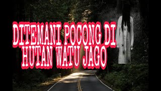 Download lagu THE MYSTERY OF THE WATU JAGO FOREST // Accompanied by POCONG // THE MYSTERY OF THE GUWING WELL mp3