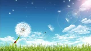 Groove Club - Feel The Light (Extended Mix)