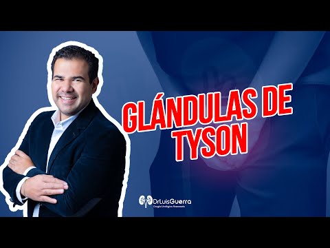 Glándulas de Tyson