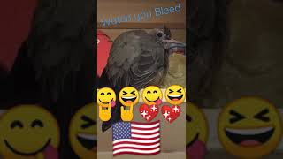Watch you Bleed/ Five Finger death Punch/ head-music
