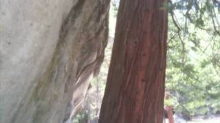 Xenakis : La Legende d'Eer  Yosemite クセナキス　呼吸するヨセミテ